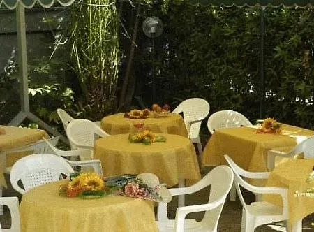 Hotel Dei Tigli Lido di Camaiore
